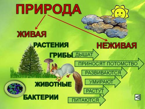 Мне нужны рисунки, фото на тему взаимосвязь в живой и неживой природе. если можно подкиньте сайт с к