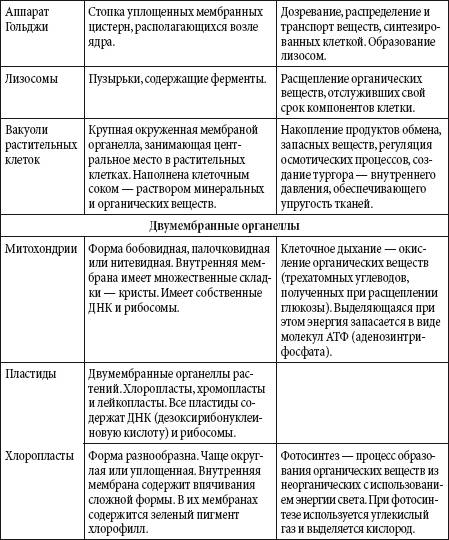 Заполните таблицу,указав роль каждого элемента в клетке