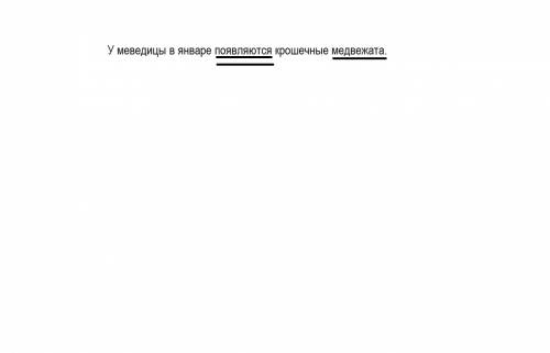 С: найди и подчеркни подлежащее и сказуемое в предложении: у меведицы в январе появляются крошечные