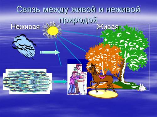 Нарисовать связь между живой и неживой природой