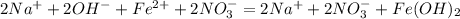 2Na^{+} + 2OH^{-} + Fe^{2+} + 2NO_{3}^{-} = 2Na^{+} + 2NO_{3}^{-}+ Fe(OH)_{2}