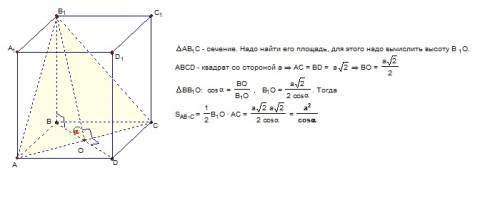 Дана правильная четырехугольная призма abcda1b1c1.найдите площадь сечения проходящего через ребро ac