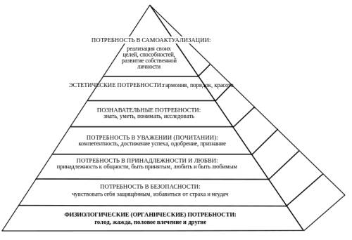 Какая потребность для человека главная и почему?