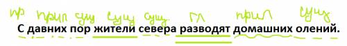 Разобрать предложение по составу: с давних пор жители севера разводят олений.
