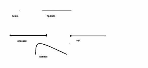 Начерти точку.прямую,луч,отрезок,кривую