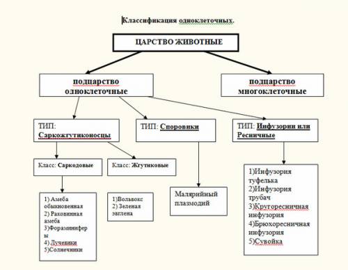 Чем простейшие отличаются от других животных? чем они отличаются от одноклеточных растений?