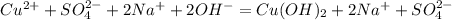 Cu^{2+} + SO_{4}^{2-} + 2Na^{+} + 2OH^{-}=Cu(OH)_{2} + 2Na^{+} + SO_{4}^{2-}