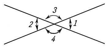 Какие углы называются вертикальными?