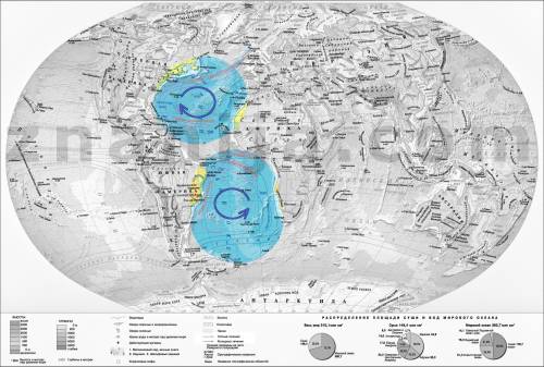 Установите течения. образующие два круговорота: в северной и южной частях атлантического океана. в к