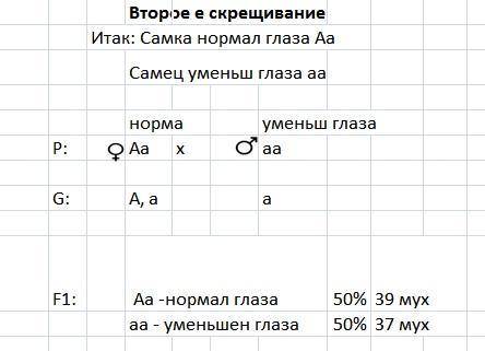 При скрещивании нормальных дрозофил между собой в их потомстве 25% особей оказалось с меньшенными гл