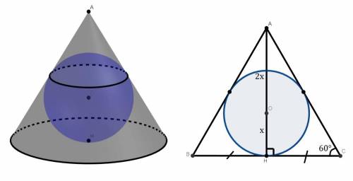 Найдите объем шара,вписанного в конус объемом 36,если осевое сечение конуса является равносторонним