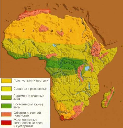 Почва тропических пустынь африки,скажите )