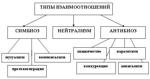 Взаимоотношения живых организмов в природе подборка иллюстраций кто понимает или скажите что нарисов