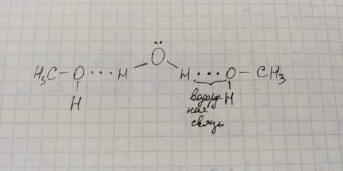Как образуется водородная связь? покажите её образование между молекулой воды и двумя молекулами мет
