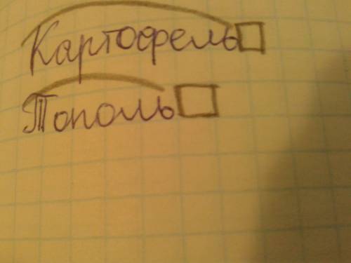 Разберите по составу слова картофель и тополь