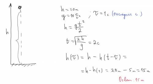 Маленький камушек свободно падает без начальной скорости с высоты 20 м на поверхности земли.определи