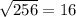 \sqrt{256} =16