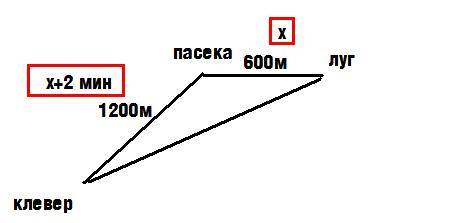 Пчёлы собирают нектар с клеверного поля 1200м от пасеки и с луга 600м от пасеки. от поля до пасеки п