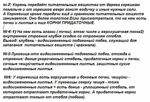 1.какие видоизменные подземные побеги вы знаете? назовите растения имеющие корневище,клубень и луков