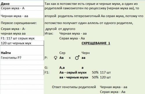 Серый цвет мухи дрозофилы доминирует над черным. в серии опытов по скрещиванию серой мухи с черной п