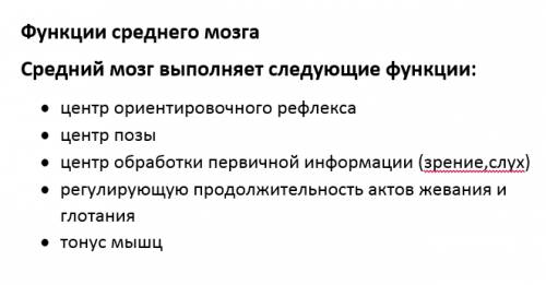 Охарактеризуйте функции: продолговатого мозга, среднего мозга, мост, мозжечок, промежуточный мозг и