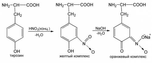 Скаких реакций можно доказать, что вещество является белком?