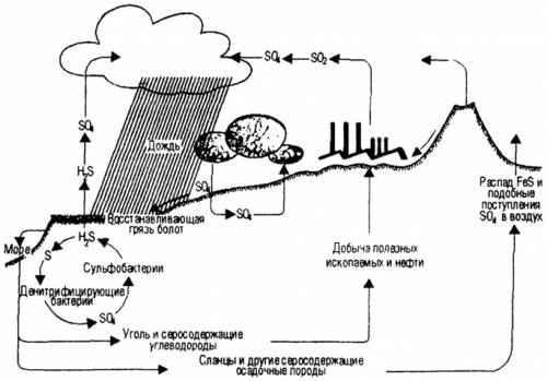 Составьте схему круговорота серы, заранее ))