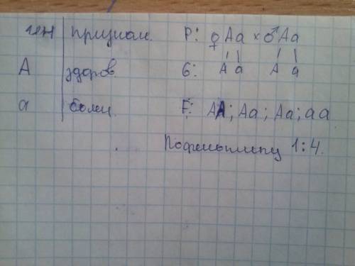 Муж и жена гетерозиготны по рецессивному гену альбинизма. у родителей родилась двойня. какова вероят