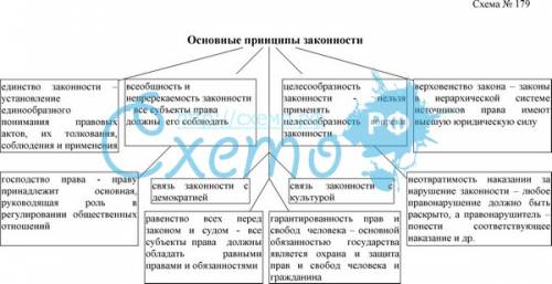 Назовите принципы законности и дайте обоснование каждого из них. представьте в виде схемы.