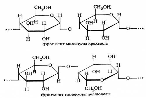 1) состав глюкозы 2) получение глюкозы 3) строение крахмала 4)состав крахмала