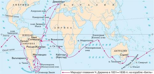 Выберете 3 правильных ответа из 6. кругосветному путешествию ч. дарвину удалось изучить животный и р