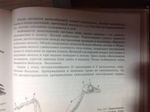 Какие органы пищеварения возникли у птиц в связи с отсутствием у них челюстей и зубов