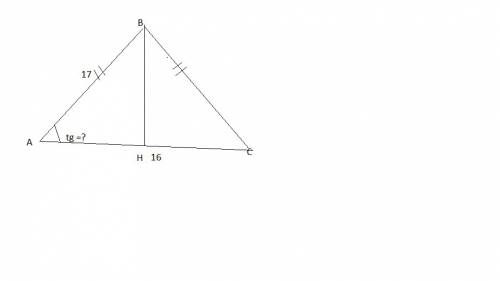 Вравнобедренном треугольнике abc боковая сторона ab=17,основание ac=16.найдите tg угла a