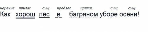 Как хорош лес в багряном уборе осени! синтаксический !