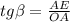 tg \beta = \frac{AE}{OA}