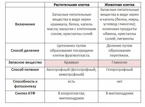 Сравните животную и растительную клетки по строению.назовите их сходства и различия.