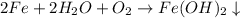 2Fe+2H_2O+O_2\rightarrow Fe(OH)_2\downarrow