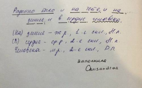 Из предложения выписать существительные, определить род, склонение, падеж, произвести синтаксический