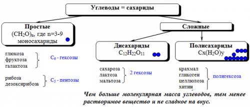 Напишите классификацию углеводов, примеры.