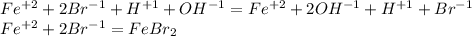 Fe^{+2}+2Br^{-1}+H^{+1}+OH^{-1}=Fe^{+2}+2OH^{-1}+H^{+1}+Br^{-1} \\ Fe^{+2}+2Br^{-1}=FeBr_{2}