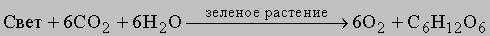 Написать реакцию образованию углеродов, которая протекает в процессе фотоснтезе