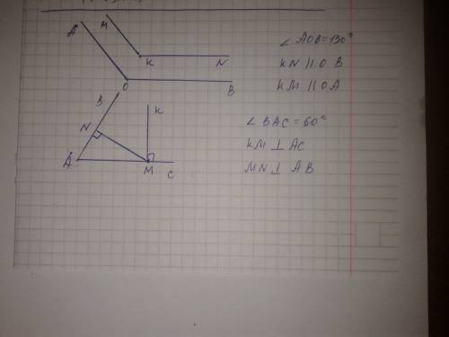 1) постройте угол, равный 130 градусам, и отметьте внутри него точку. проведите через эту точку прям