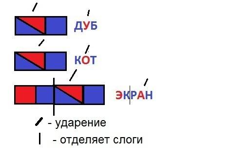 Сделать звуковые схемы слов дуб. экран, кот