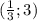 (\frac{1}{3};3)