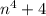 n^4+4