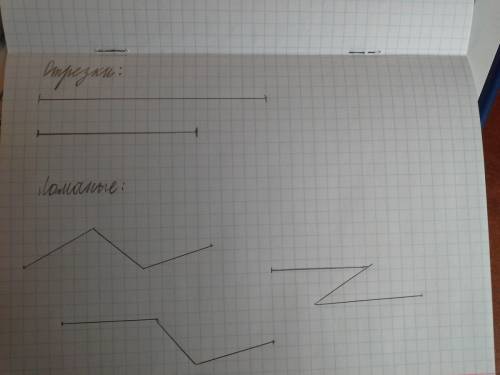 Подскажите как делать! почтроить два отрезка, три ломаных.