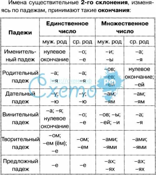 Падежные окончания имён сущ. 2 склонения
