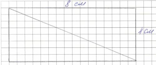 Вычислите площадь прямоугольного треугольника со сторонами 4 см и 8 см