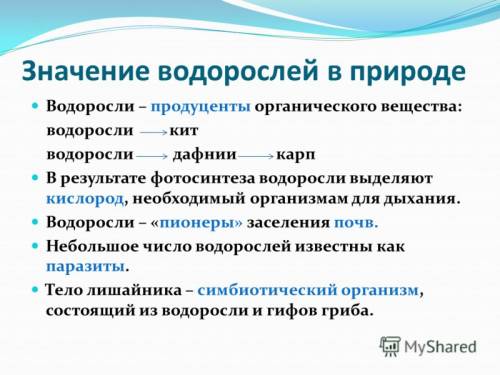 Каково значение водорослей в природе в жизни человека? !