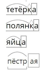 На полянку вышла пёстрая курочка тетёрка с целым выводком тетеревят. тетеревята были рябенькие и пуш